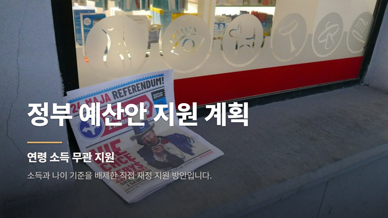 정부 예산안 지원 계획