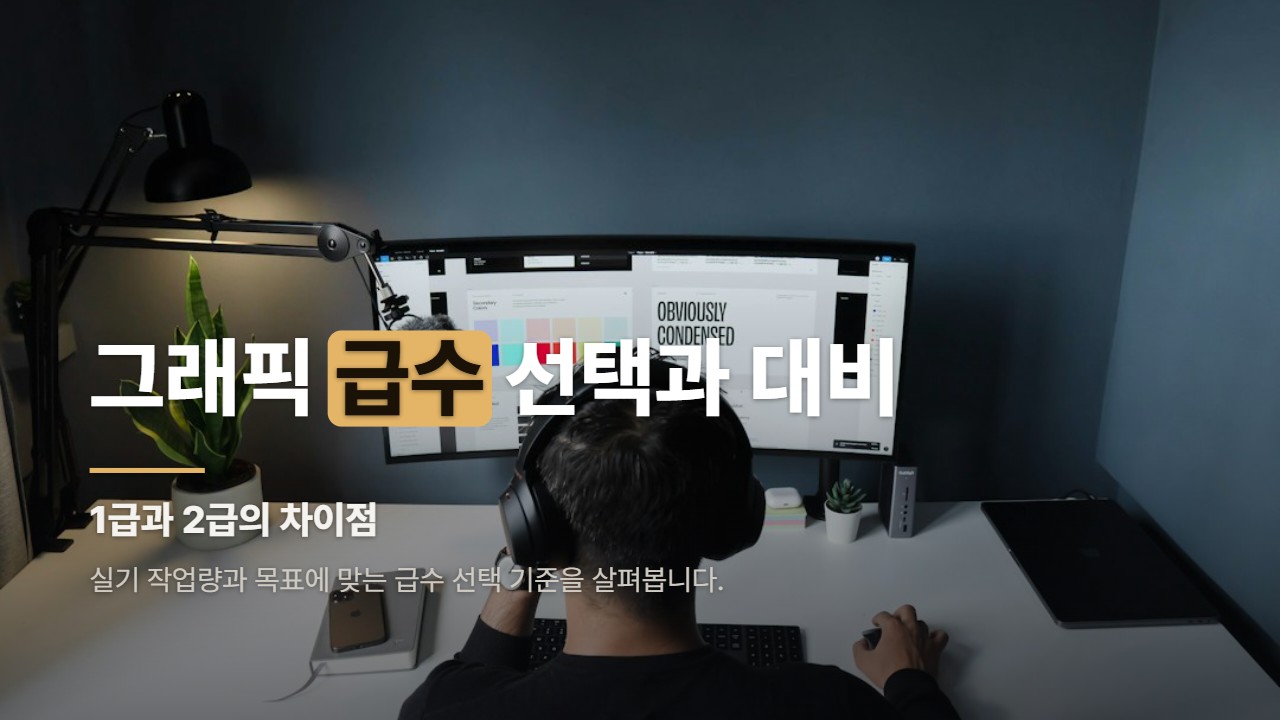 그래픽 급수 선택과 대비